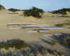 Glider FR diag no sign s.jpg (151263 bytes)
